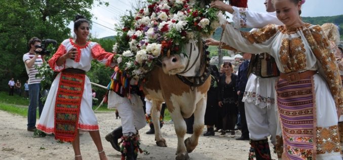 Vrei o porție de turism cultural de Rusalii? Căianu Mic te poftește la „Înstruțatul boului” și la spectacolele dedicate Zilelor comunei!
