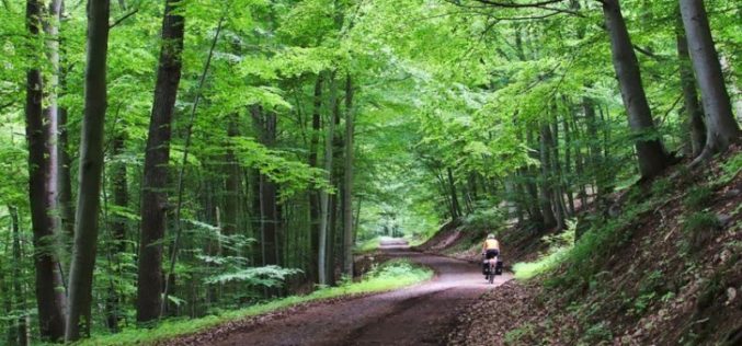 Cu 1,2 mil. euro, MIS GRUP modernizează patru drumuri forestiere în Ilva Mare