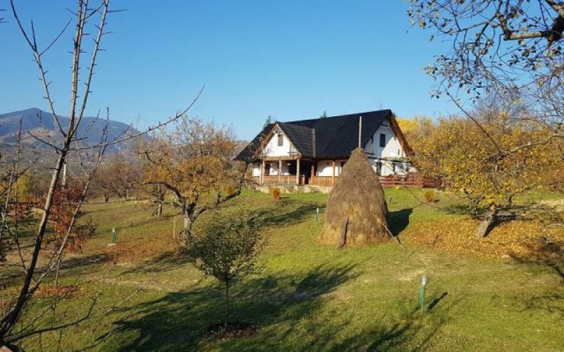 Primarul-antreprenor Traian Ogâgău cumpără case vechi în zona Sg-Băi ca să facă agroturism
