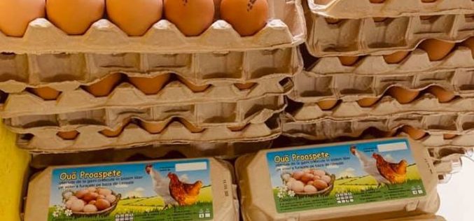 O fermă din Blăjeni vinde ouă de găină de peste 1,4 mil. lei anual