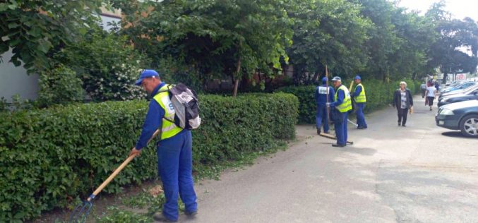 Primăria Bistrița externalizează, pe 4 ani, serviciile de tuns iarba