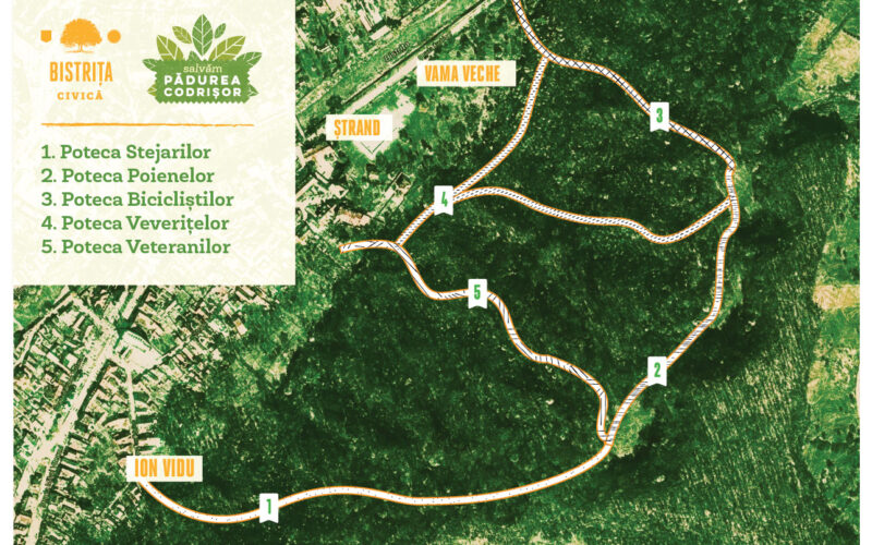 Prin votul bistrițenilor, Pădurea Codrișor poate deveni a doua pădure-parc din oraș