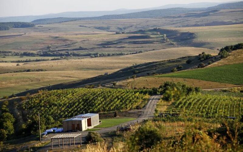 Vinurile Liliac – podgoria Lechința – au adus o creștere de 17% a cifrei de afaceri
