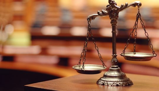 DNA, elefantul care a călcat o furnică suspectă, în timp ce leii zburdau pe autostrăzi